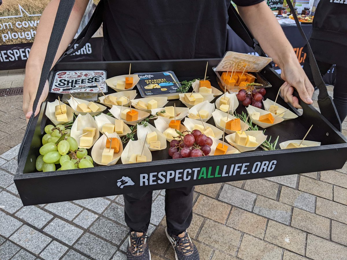 ajpReact's tweet photo. Some fantastic pictures from our event in #Leeds on Sunday. We had a really fun and interactive outreach event that included us giving out free dairy-free cheeses and milk kindly donated to us by @ButeIslandFoods & @ViolifeFoods
#GoatsToOats
๐https://t.co/1R76VWzlFg
#Vegan https://t.co/B4Z4viZynO