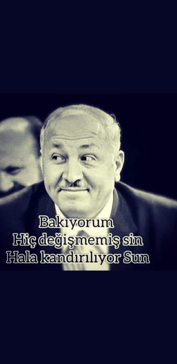 nihat_askin's tweet photo. @ankara_kusu https://t.co/i7MtwGPTc3