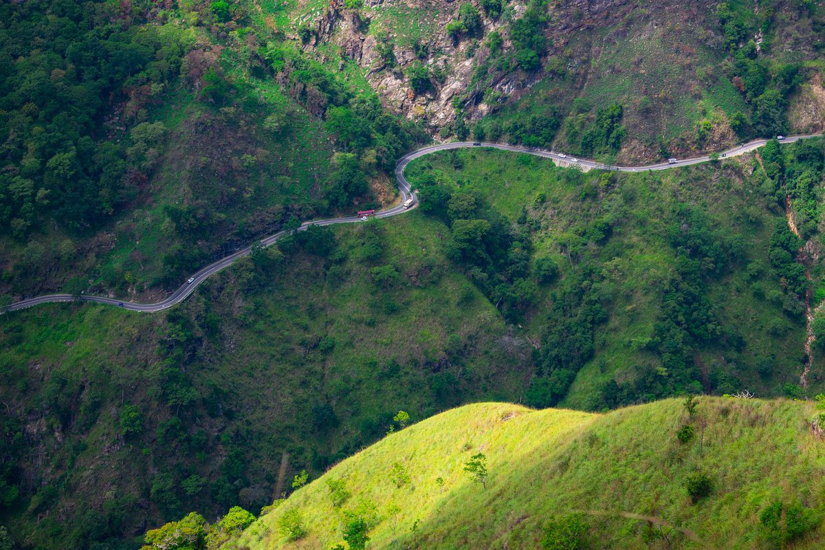 MountainsRoads's tweet photo. My #400 nft collection is complete 

Category:- Mountains roads 
Floor price:- 0.01
Available on opensea 
On polygon network 

Do check it out 
Link on Bio 

#nft #nftpost #newpost #nonfungibletokens #nftcreator #nftindia #sell #promote #nftcollection #mountainsroadsnft 
#opensea https://t.co/Z7o5lxR7jQ