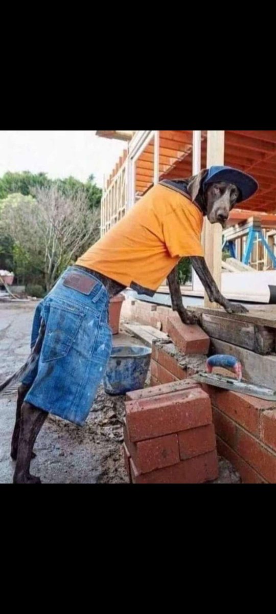 Please help me guys what does this mean