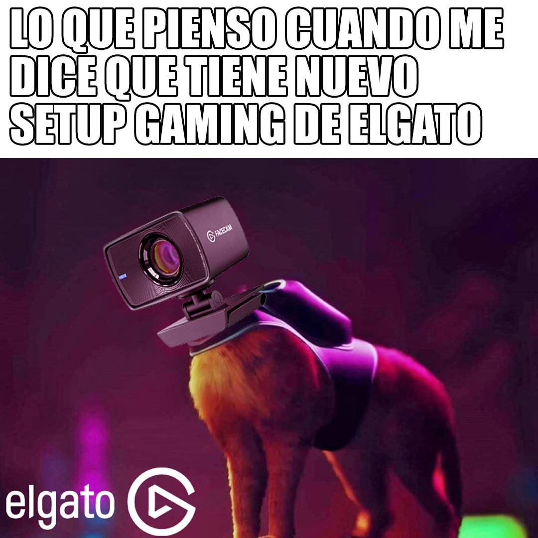 redcomputerbcn's tweet photo. #MemeViernes de michis y #gaming 

Buenos Días ☀️

#memeday https://t.co/3WwNeQbcjy