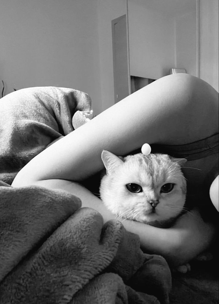 wlvekane's tweet photo. Os catnho são meus besties
#ThisIsMyBestFriend https://t.co/vfgikxPlkA