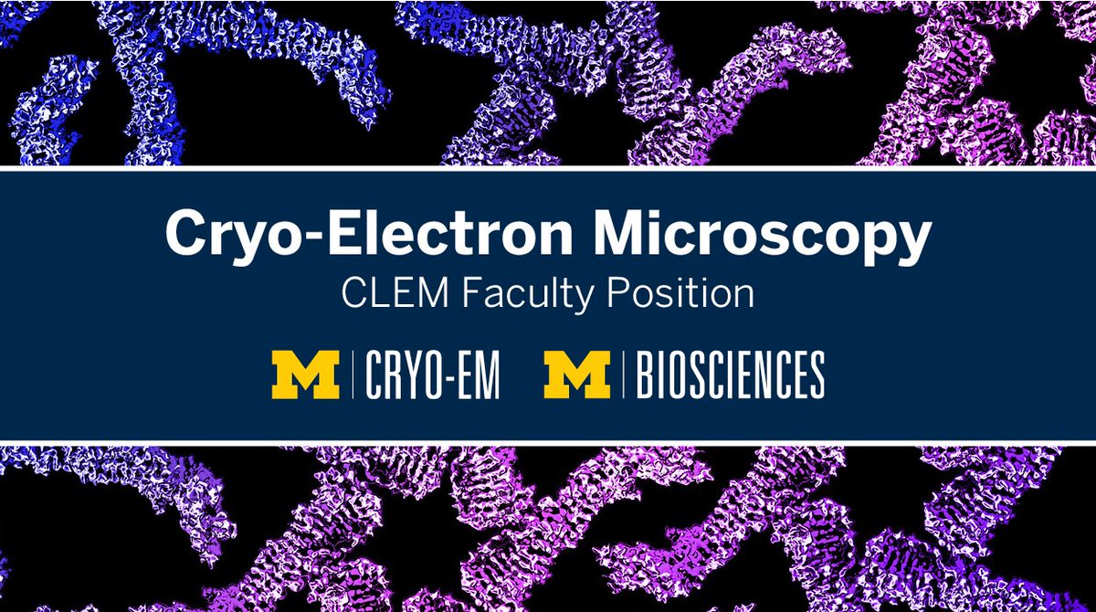 UMLifeSciences (@umlifesciences) on Twitter photo The <a href="/Umich/">University of Michigan</a> #CryoEM program is hiring!
<a href="/UMLifeSciences/">UMLifeSciences</a> and <a href="/UMCDB/">UMCDB</a> are recruiting an assistant professor who applies cutting-edge #CLEM methods to answer important biological problems.
Learn more and apply at myumi.ch/lsi-CryoEM The <a href="/Umich/">University of Michigan</a> #CryoEM program is hiring!
<a href="/UMLifeSciences/">UMLifeSciences</a> and <a href="/UMCDB/">UMCDB</a> are recruiting an assistant professor who applies cutting-edge #CLEM methods to answer important biological problems.
Learn more and apply at myumi.ch/lsi-CryoEM