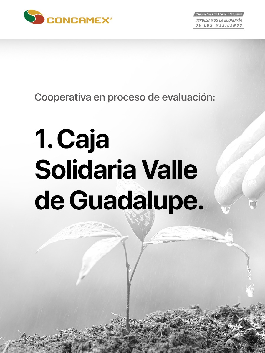 laconcamex's tweet photo. 2da. Fase del proceso de transferencia del Balance Social Cooperativo con Federación Central de Cooperativas para visibilizar el cumplimiento de los valores y principios cooperativos y establecer metas de mediano y largo plazo en las acciones de responsabilidad social. https://t.co/bVnzLfbW16