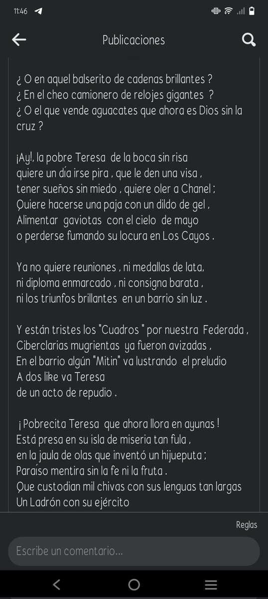 Sunflower tweet media