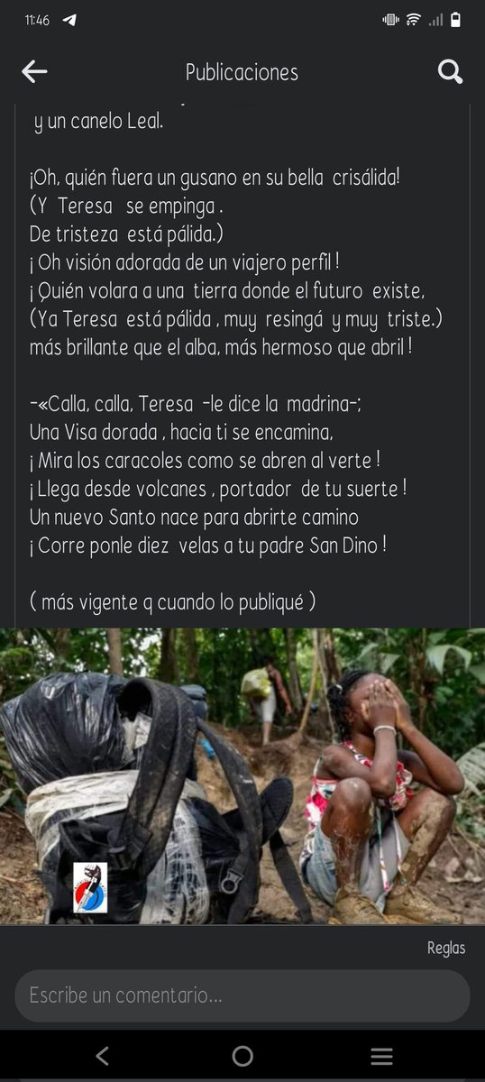 Sunflower tweet media