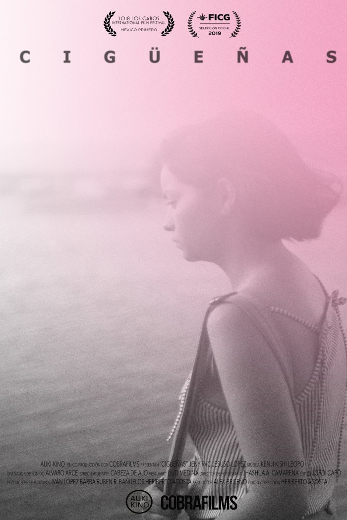 CinetecaMexico's tweet photo. Entre la road movie y el coming of age, CIGÜEÑAS (México, 2019), la ópera prima de Heriberto Acosta, parte del polémico tema del aborto para hacer un retrato generacional situado en Guadalajara y sus alrededores.

Disponible en Cineteca Nacional a partir el próximo fin de semana. https://t.co/6F5DnNAb79