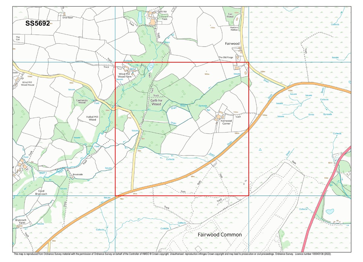 SEWBReC's tweet photo. The Glamorgan #SquareOfTheMonth for August is SS5692 on Gower in @SwanseaCouncil! This square contains zero Orthoptera records; can you find a grasshopper or bush-cricket to fill in the gap in our map? π¦π¦π¦
https://t.co/9dG1r7TOOq https://t.co/RuDTWUBOtE