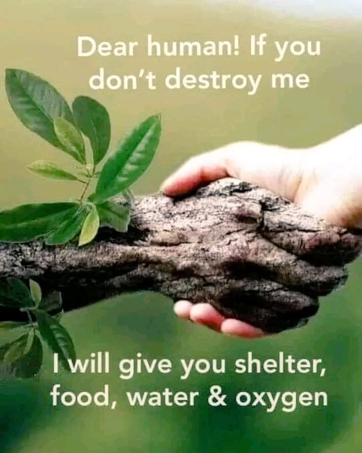 "He who plants a trees
 plants a hope"
--Lucy larcom

#Plant_trees
#Save_Bangladesh
#Save_World
#Reduce_global_warming