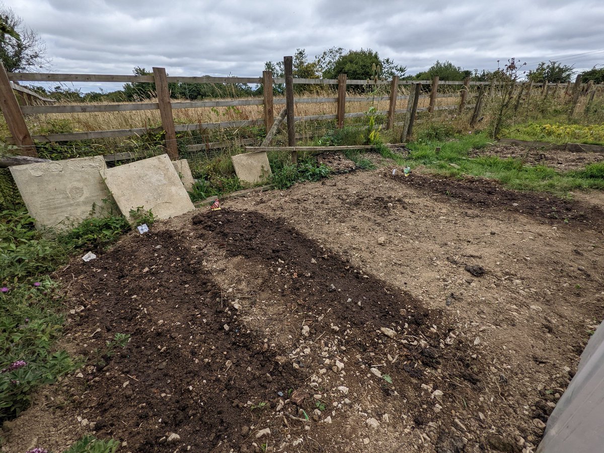 EveJTucker's tweet photo. First allotment #wellbeing session @CwallWildlife was lovely today🌞 Participants cleared a big bed and planted lots of veggies🥕🫘🥬 and planted out aubergines into the polytunnel. Excited to watch things grow!🌱#naturewellbeing #gardening #greenprescriptions https://t.co/za5h2jyuYa
