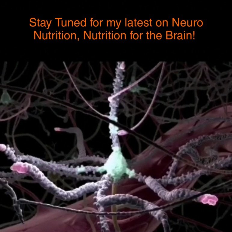 RisingBrains001's tweet image. The Neuroscience Behind Brain Food #2THE BAD: SATURATED FAT - mailchi.mp/edbb7c7e943c/t…