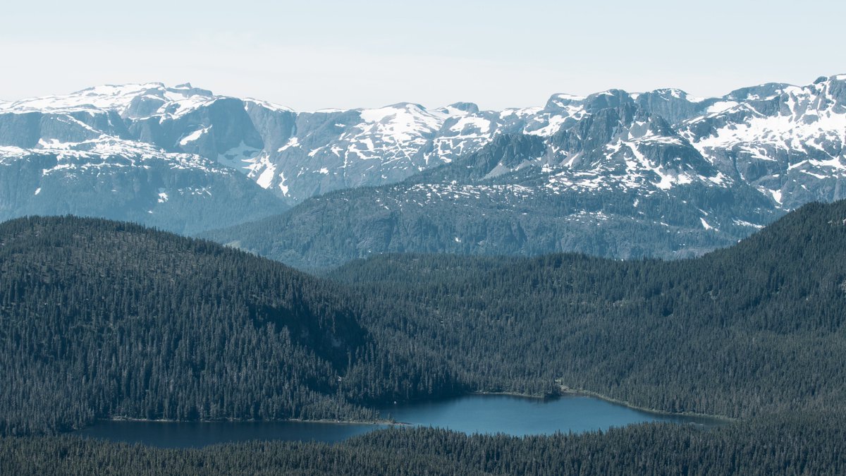 TourismMW's tweet photo. Happy #BCday from 1588 m above sea level! Come up and join us: https://t.co/jbomRQx9eL #mymw #ComoxValley #VancouverIsland https://t.co/PVQaIti6Pz