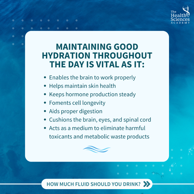 HealthScAcademy's tweet photo. Are you someone who doesn’t like the taste of plain water? Here’s a bonus tip: You can make it more enjoyable and refreshing by adding either ice cubes, slices of lemon, cucumber, some mint, or even berries 🍃🍓
