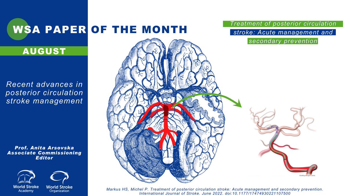 WorldStrokeEd's tweet image. Dear colleagues &amp;amp; friends
We're starting August sharing w/ you all our #PaperOfTheMonth

world-stroke-academy.org/news/the-paper… 

Associate Commissioning Editor @arsovska_anita reviewed recent @IntJStroke paper regarding #Posterior Circulation #Stroke

Author interview⤵️
youtu.be/VKwLPRMyhk4