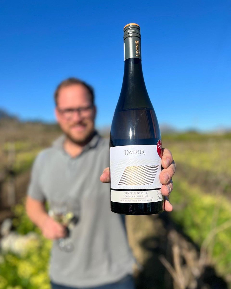 Today is the inaugural #OldVineDay, as the <a href="/oldvineproject/">Old Vine Project</a> was founded on this day in 2016. L’Avenir is proud to have our 49 year old Single Block of Chenin Blanc certified by the Old Vine Project. 

<a href="/CheninBlancSA/">Chenin Blanc SA</a> <a href="/wineonaplatter/">Platter's Wine Guide</a> <a href="/DecanterAwards/">Decanter World Wine Awards</a>