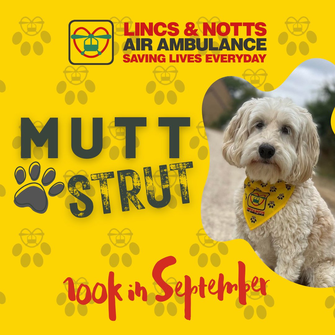 LNAACT's tweet photo. 🐶 Join our totally paw-some challenge this September! 

Walk your dog 100k throughout the month, and raise as much as you can to support our life-saving work! 🚁

Join our Facebook group and follow the steps to register for your FREE doggy bandana!

https://t.co/P59VDuZKkG https://t.co/12o0EH7Fqg