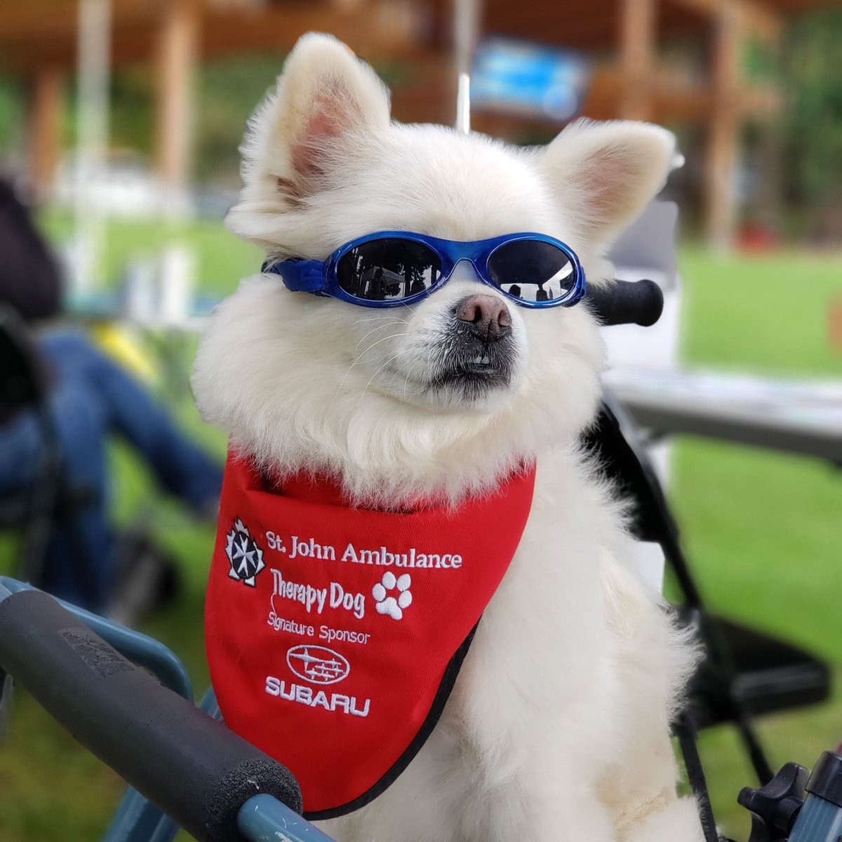 St. John Ambulance tweet media