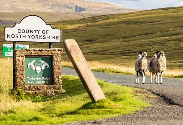 Happy Yorkshire Day! 💮 JB Springs are proud to be a Yorkshire-based UK manufacturer. Read about our beloved home county and the history of Yorkshire Day on our blog! 👇🏼
buff.ly/3CwdGug

#YorkshireDay #blog #mfg #engineering #madeinuk #madeinbritain #madeinyorkshire