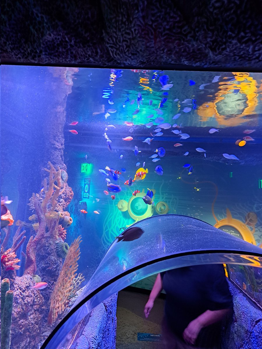 A. Walker tweet media