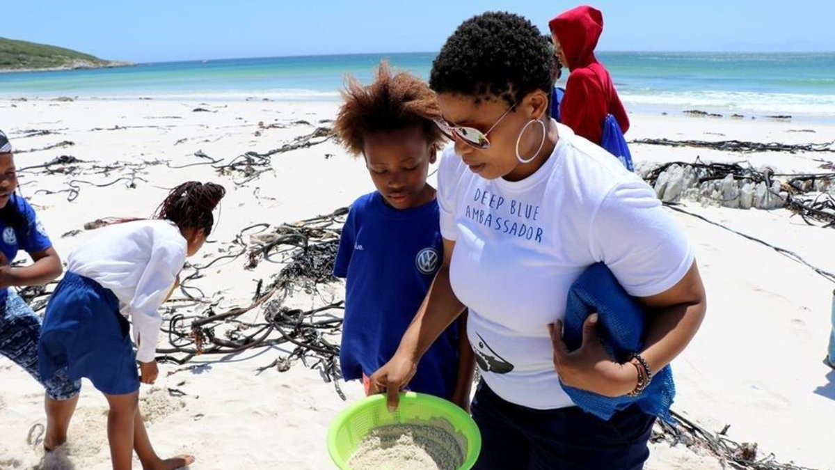 Dyer Island Cons. Tr tweet media