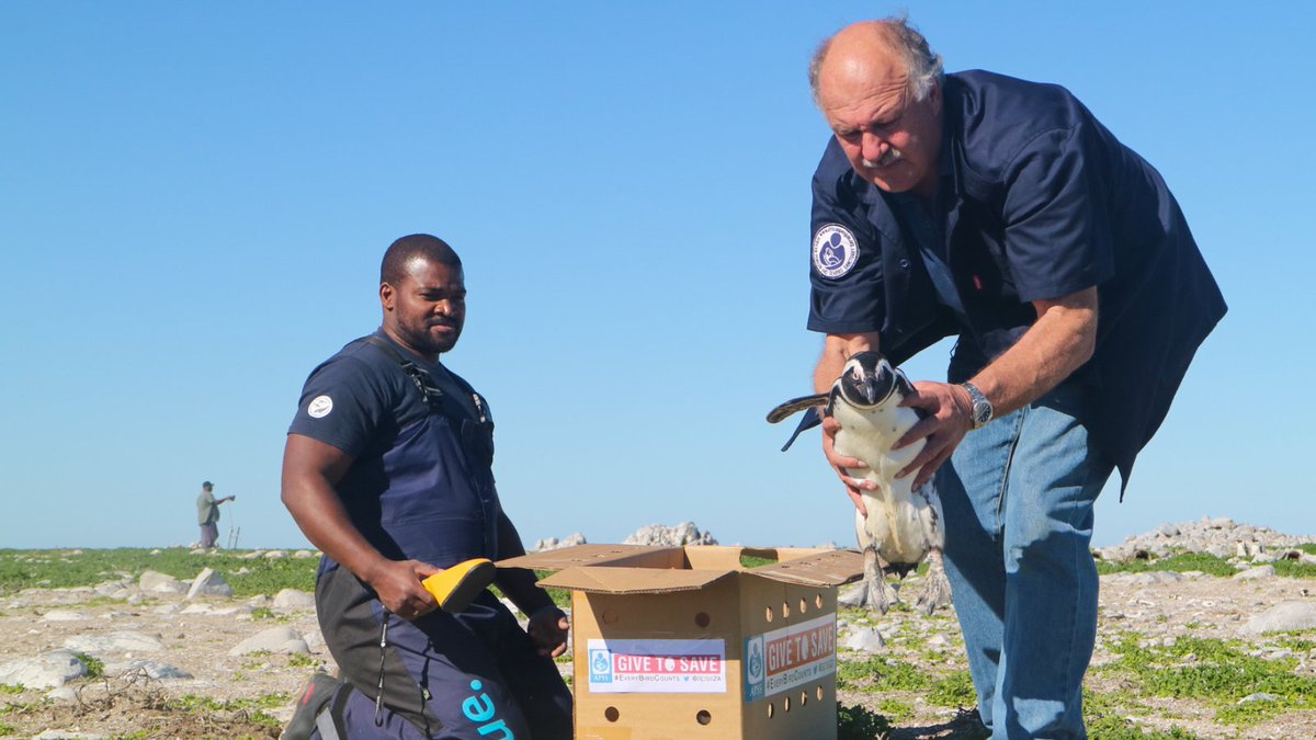 Dyer Island Cons. Tr tweet media