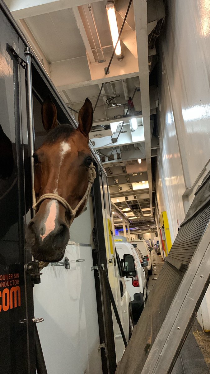 Vuelta a casa CHEU 2022🇪🇺

¡Después de unos entrenamientos muy prometedores y un comienzo que permitía luchar por la medalla, los resultados no reflejan todo el potencial!

Finalmente sin opciones por equipos e individual, decidimos finalizar el campeonato.

GRACIAS A TOD@S❗️