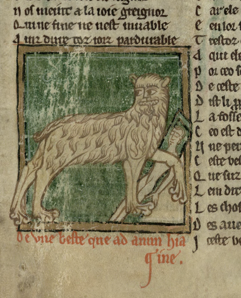 TrinCollLibCam's tweet photo. Congratulations to the #Lionesses - European champions! 🏆⚽🎉
Here are our own #ThreeLions - from two medieval bestiaries (R.4.19 and O.2.14) and the Memoriale Collegii Trinitatis, all of which are available on our James Catalogue: https://t.co/8fVcoQ7qmo
#WrenDigitalLibrary https://t.co/dhiEKnAmkR