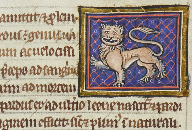 TrinCollLibCam's tweet photo. Congratulations to the #Lionesses - European champions! 🏆⚽🎉
Here are our own #ThreeLions - from two medieval bestiaries (R.4.19 and O.2.14) and the Memoriale Collegii Trinitatis, all of which are available on our James Catalogue: https://t.co/8fVcoQ7qmo
#WrenDigitalLibrary https://t.co/dhiEKnAmkR