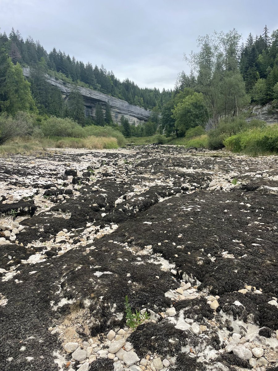 Où suis-je?Au milieu du #doubs…