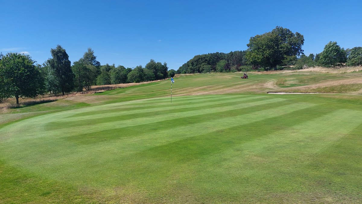 Enjoy your game this week! #golf #9hole #kippie #aberdeen #golfcoursesaberdeen