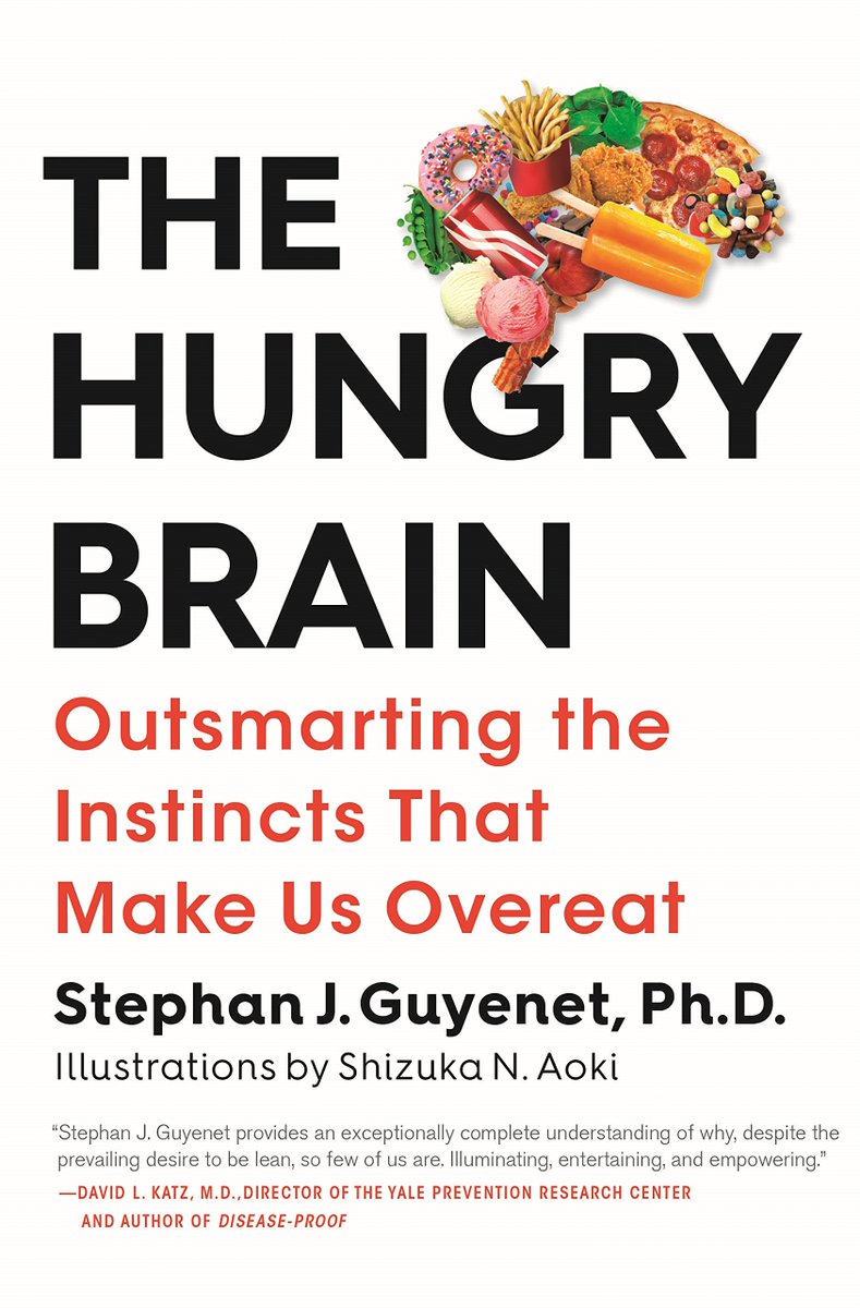 "Genetics loads the obesity gun but behaviour pulls the trigger" Some thoughts on how lowering the reward value of food can help achieve lasting weight loss bit.ly/3bhNDhD #transformation #weightloss #weightlossjourney #sumpletricks #simpletips #toptips
