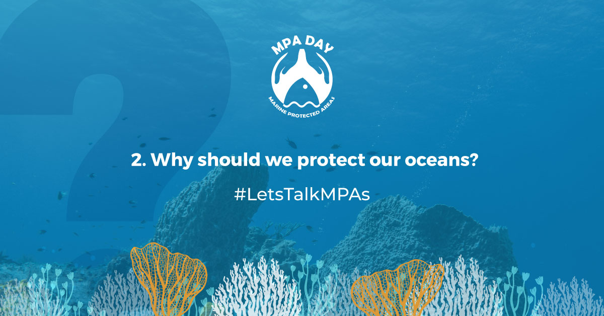 Q2: Why should we protect our oceans? 🐟 
#MPADay #LetsTalkMPAs