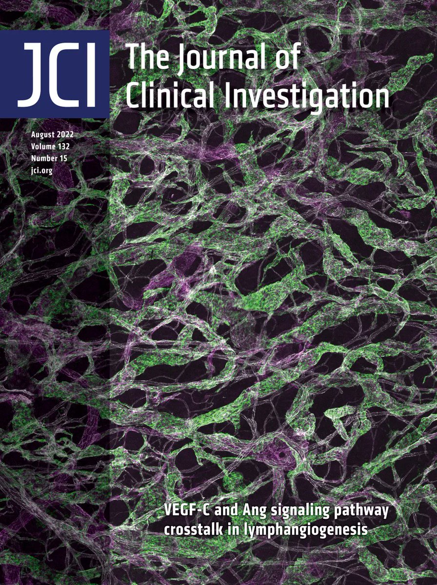 jclinicalinvest's tweet image. #Cover: VEGF-C and Ang signaling pathway crosstalk in lymphangiogenesis: buff.ly/3zLvLoz
@emiliaakorhonen @pipsa_saharinen @makinenlab @sawanzha @PinkAnkasvanka @HellmutAugustin @VaahtomeriLab
#VascularBiology