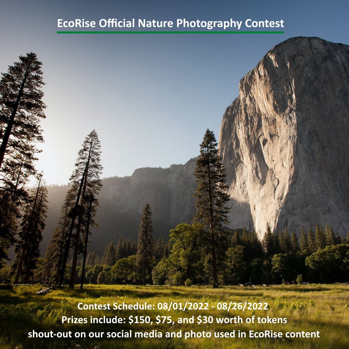 ECOBASEDAI's tweet photo. Join us for our first ever Nature Photography Contest!

Contest will run 08-01-2022 to 08-25-2022 

For more information on how to participate join our Discord or Telegram community via the links below.

#ReFi #Solarpunk

https://t.co/jV2PGFAxtb
https://t.co/FNIXMuAprm https://t.co/6rUDCNeYNR