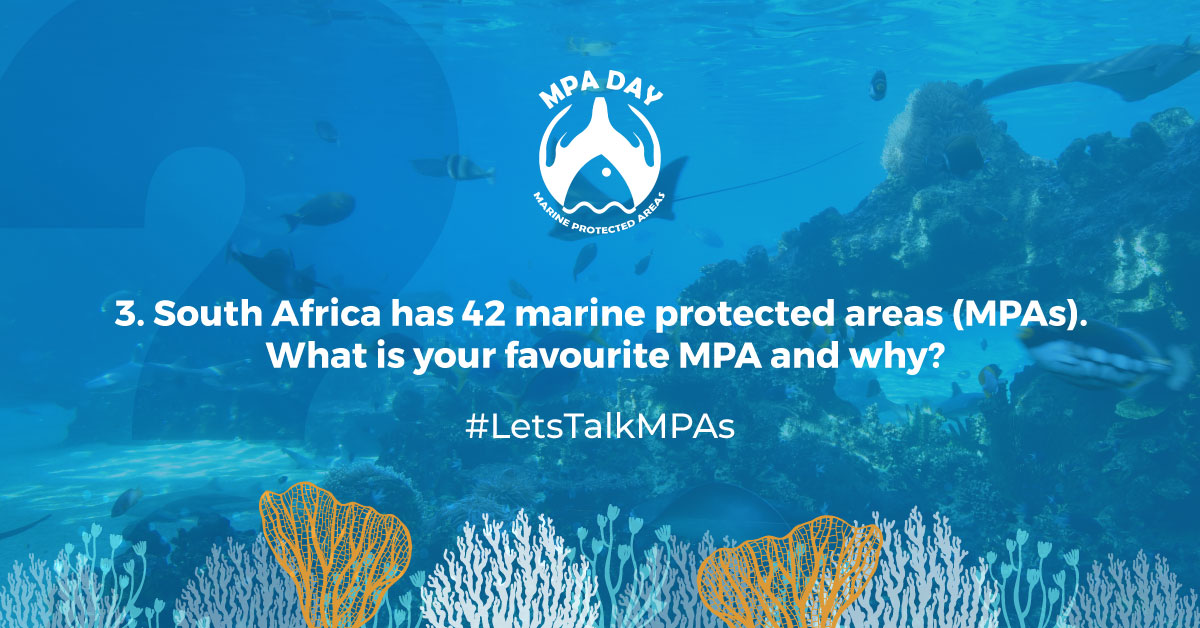 Question 3: South Africa has 42 marine protected areas (MPAs). What is your favourite MPA and why?   Send us your answers below with images using "A3" at the start of your answer. #LetsTalkMPAs #MPADay 
<a href="/2OceansAquarium/">Two Oceans Aquarium</a> <a href="/FlowComms/">Flow Communications</a> <a href="/MPAsSA1/">#MPADay</a>