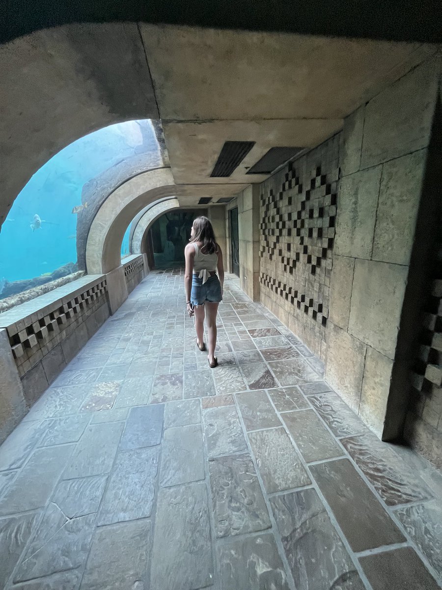 mireyanosa's tweet photo. July was a great month ✨ https://t.co/0tO4X3UKla