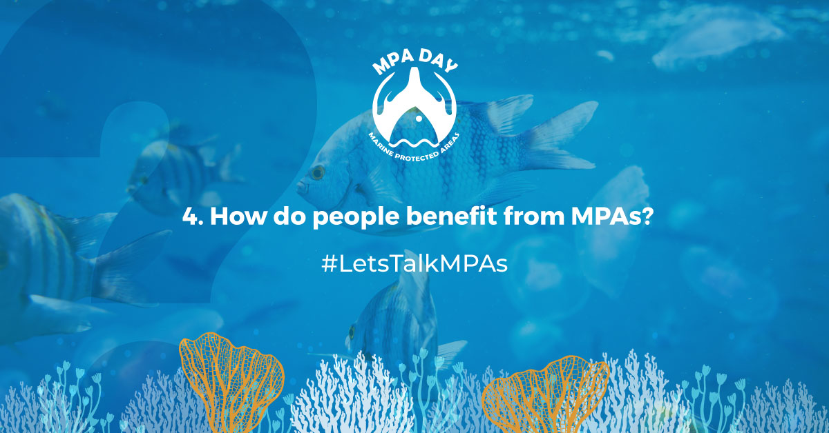 Question 4: How do people benefit from MPAs? Send us your answers below with images using "A4" at the start of your answer. #LetsTalkMPAs #MPADay 
<a href="/2OceansAquarium/">Two Oceans Aquarium</a> <a href="/FlowComms/">Flow Communications</a> <a href="/MPAsSA1/">#MPADay</a>