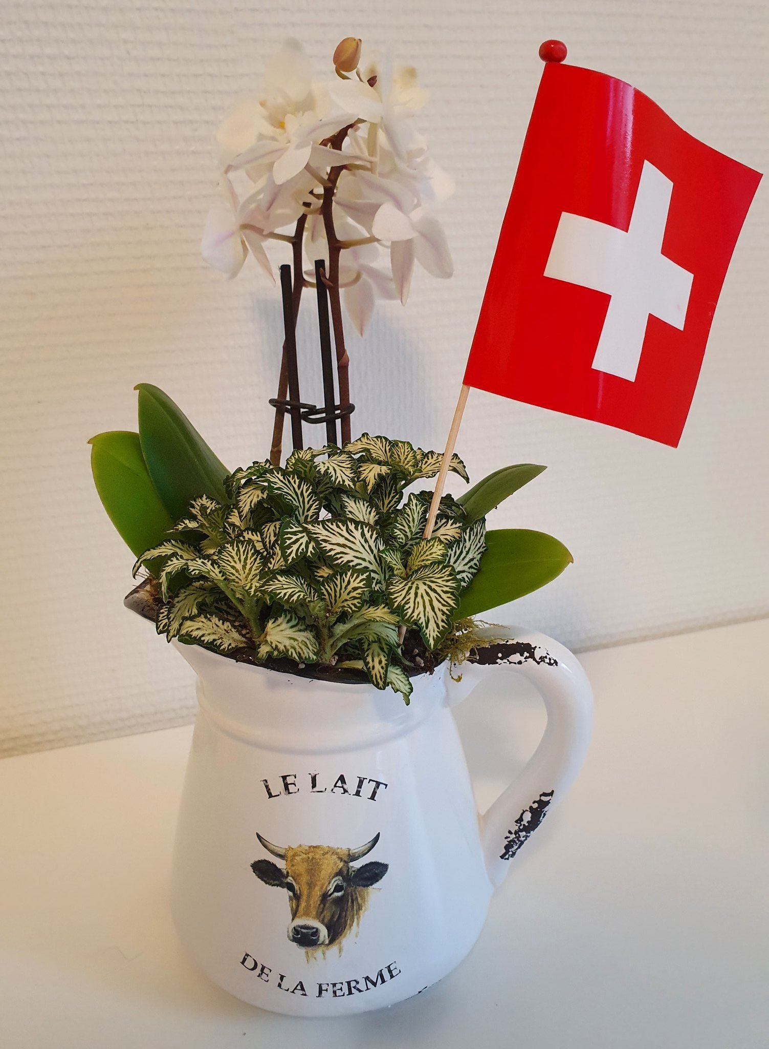 Lisa Bella 8月1日は スイスの建国記念日 この日のために 数週間前からお花屋さんに行くと国旗のついた植木鉢などが沢山並び 街や家はスイス国旗を使った飾りでデコレーションされ 年に2度しか購入できない花火が販売されます ドッグシッターの