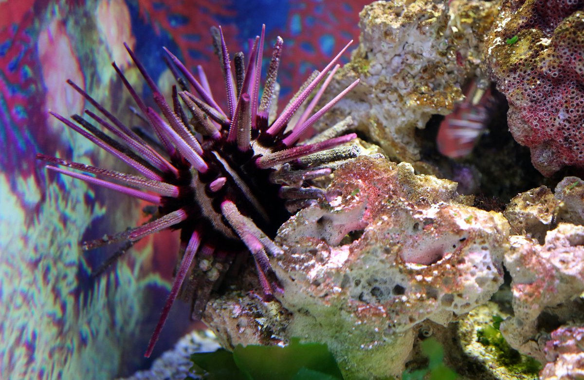 Flow Communications tweet media