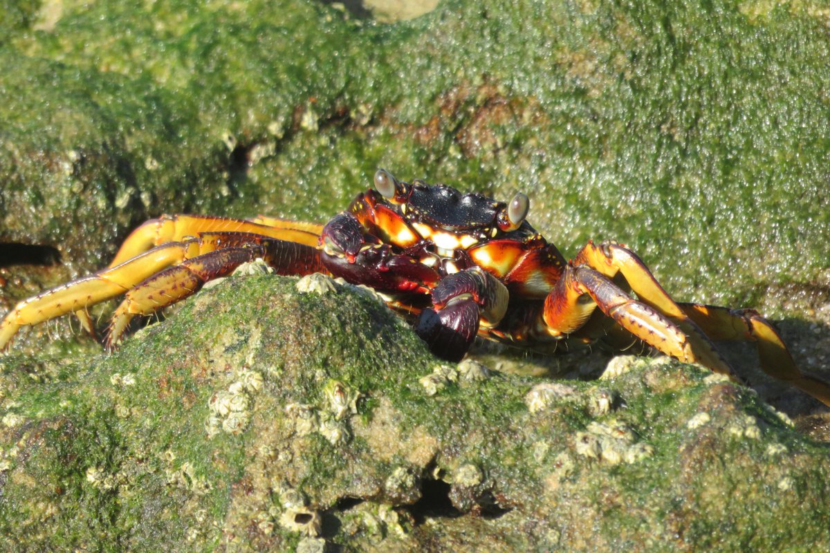 Colette Bodenstaff tweet media