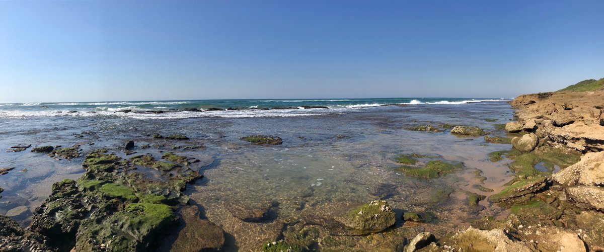 Colette Bodenstaff tweet media