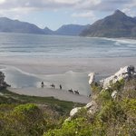 Photo by Daya Coetzee (@dayalog)