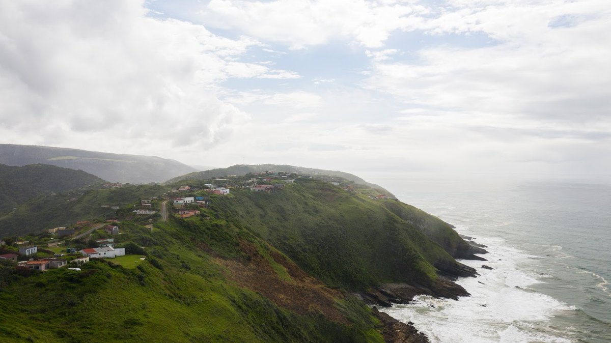 WWF South Africa tweet media