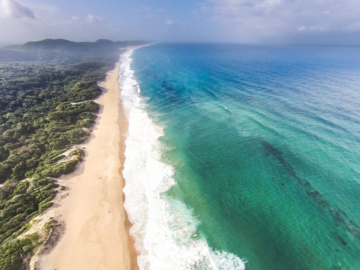 WWF South Africa tweet media