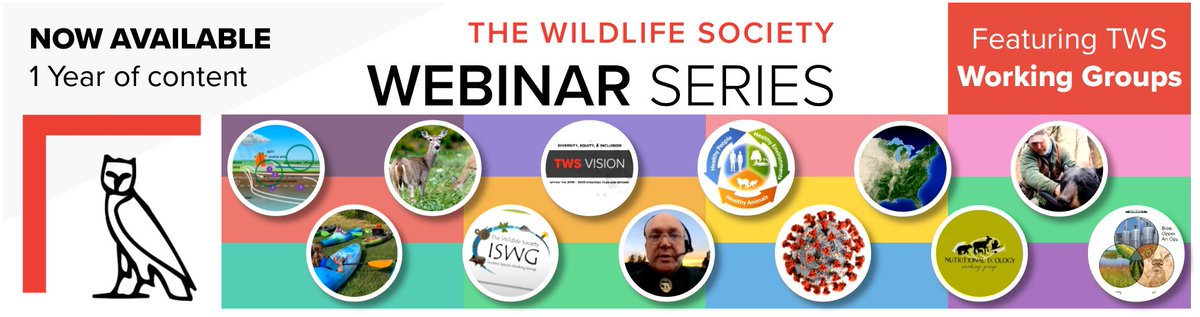 The Wildlife Society’s webinar series has entered its second year. Past presidents reflect on its success and what they hope to accomplish in the future. ow.ly/WBbg50K8wb1 

<a href="/TWSWildlifeTox/">Wildlife Tox Group</a> <a href="/TWS_MEWG/">TWS Molecular Ecology Working Group 🧬🐾🐦🐍🐟🌲</a> <a href="/TWS_FWWG/">TWS Forestry and Wildlife Working Group</a> <a href="/HTCWG_TWS/">Hunting, Trapping, and Conservation Working Group</a> <a href="/TWS_SDWG/">Student Development</a> <a href="/IWMWG_TWS/">TWS Internat. Wildlife Mngmt WG</a> <a href="/TWS_IDEAWG/">TWS Inclusion, Diversity, Equity, and Awareness WG</a>