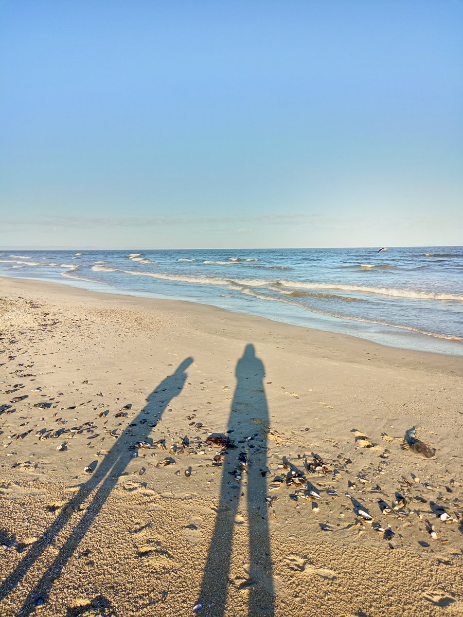 A4 MPAs have many benefits: 

🌊 Provide jobs 
🌊 Boost tourism 
🌊 Educate 
🌊 Expand knowledge 

#LetsTalkMPAs