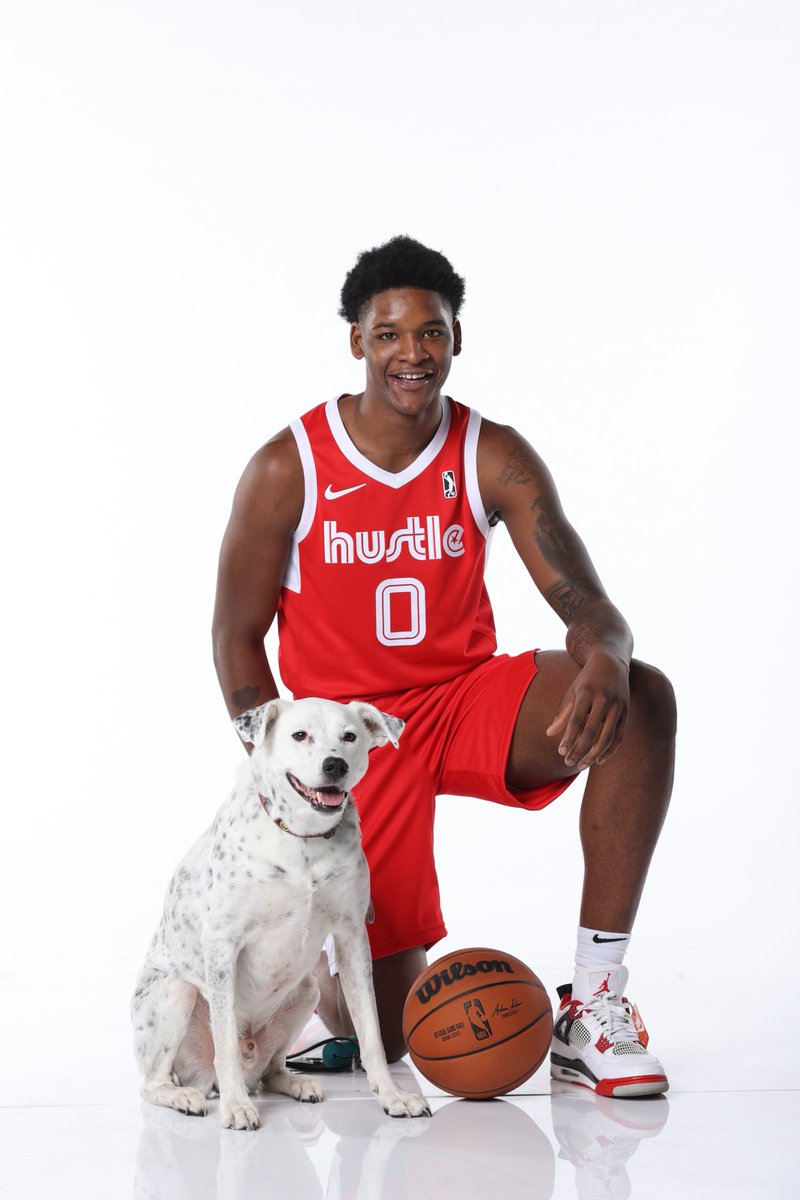 MemphisHustle's tweet photo. Hey you. It's a Monday. We know. 

We're here to brighten up your day with some doggos. 🐶 https://t.co/OO02yPACGa