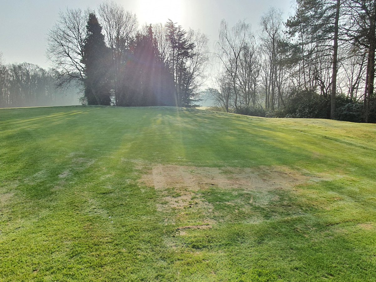 NickDowe's tweet photo. Nice to see how some of our worst areas have improved in the last 3/4 months at Poult Wood Golf Course @tmactiveleisure. Plenty of scope for improvement underneath the surface but great to see all the hard work from the team starting to show. 👌 https://t.co/vREmy8FILE