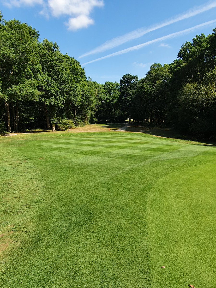 NickDowe's tweet photo. Nice to see how some of our worst areas have improved in the last 3/4 months at Poult Wood Golf Course @tmactiveleisure. Plenty of scope for improvement underneath the surface but great to see all the hard work from the team starting to show. 👌 https://t.co/vREmy8FILE