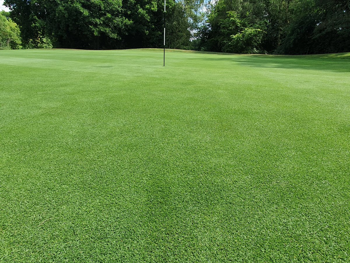 NickDowe's tweet photo. Nice to see how some of our worst areas have improved in the last 3/4 months at Poult Wood Golf Course @tmactiveleisure. Plenty of scope for improvement underneath the surface but great to see all the hard work from the team starting to show. 👌 https://t.co/vREmy8FILE